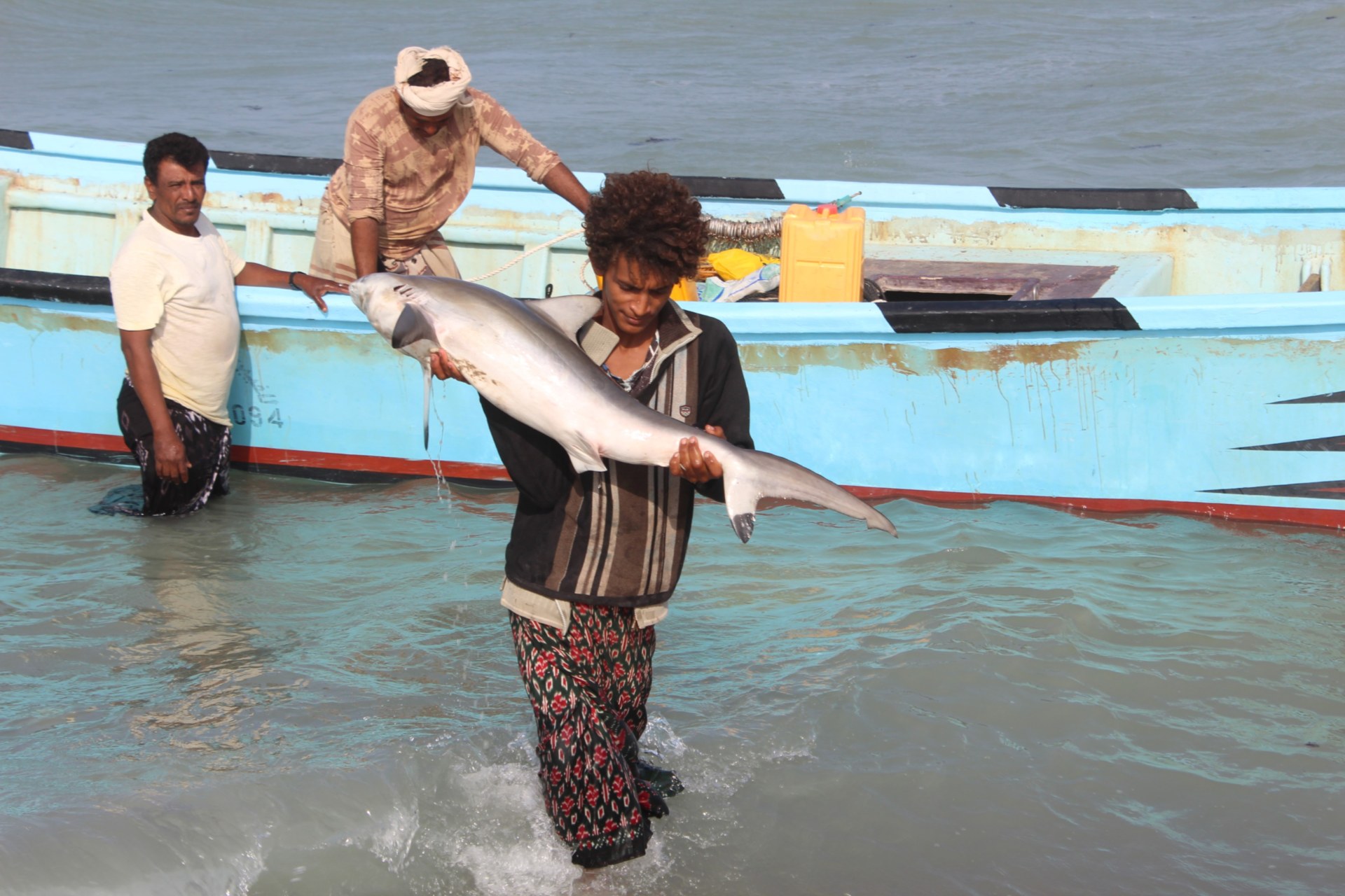A Yemeni fisherman carries a caught fish back to shore in the Khokha district of the western province of Hodeidah (AFP)
