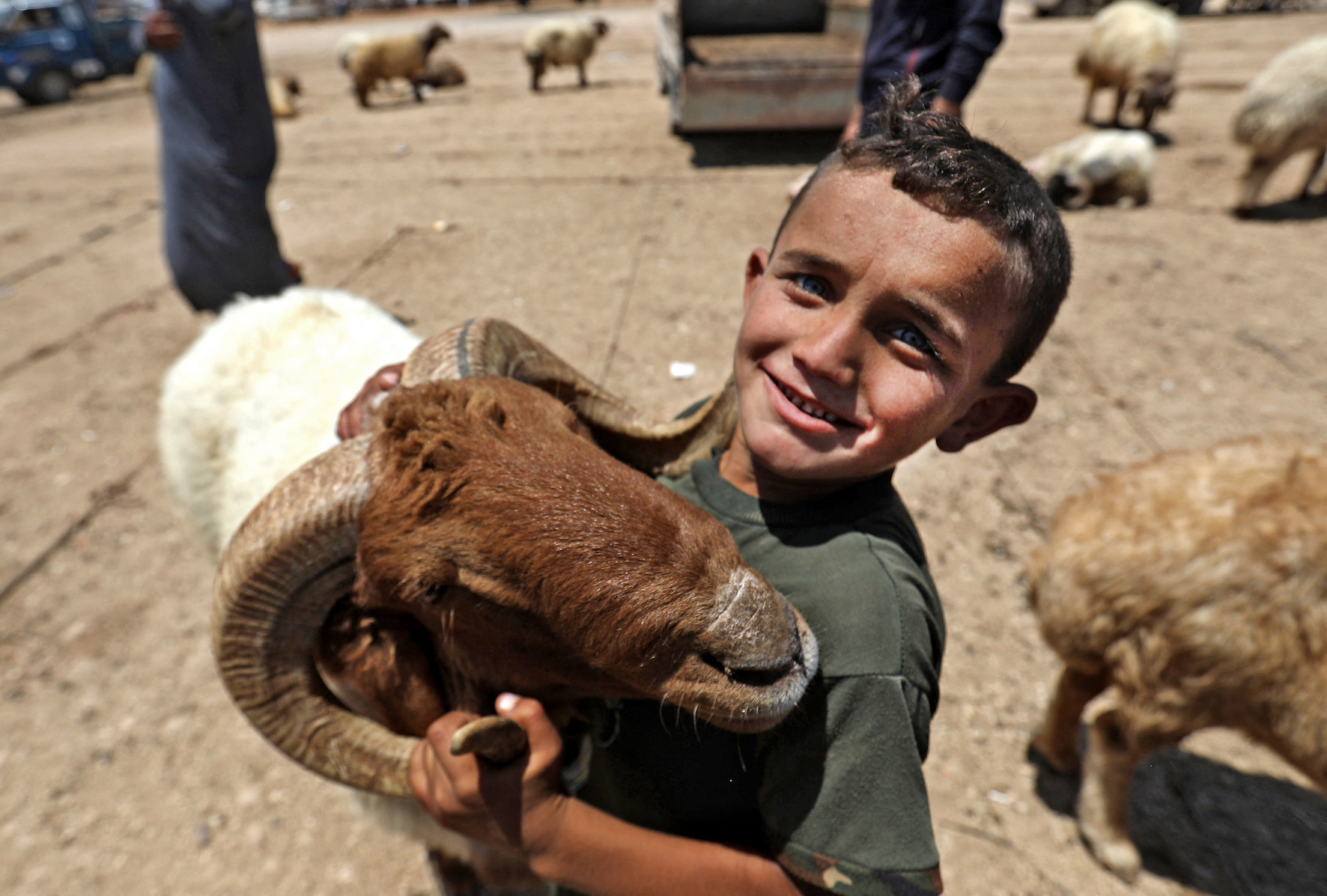 A shepherd carries a sheep at a livestock market on Turkish-Syrian border (AFP/Aaref Watad)
