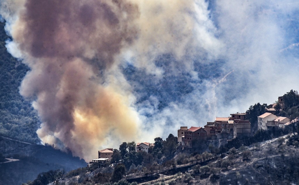 Algeria wildfires