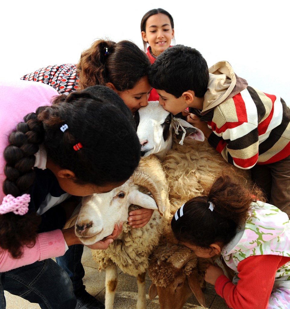 Des enfants tunisiens câlinent un mouton et un bélier avant le sacrifice de l’Aïd al-Adha (AFP/Fethi Belaïd)