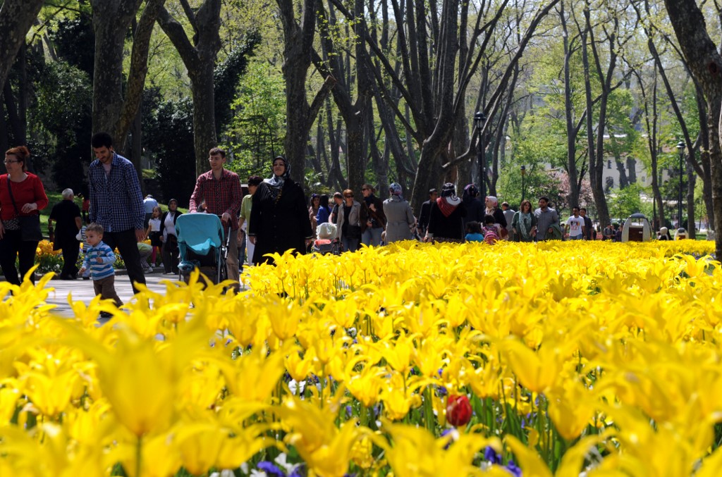 Chaque année, la Turquie organise un festival de la tulipe dans la plus grande ville du pays, Istanbul (AFP)
