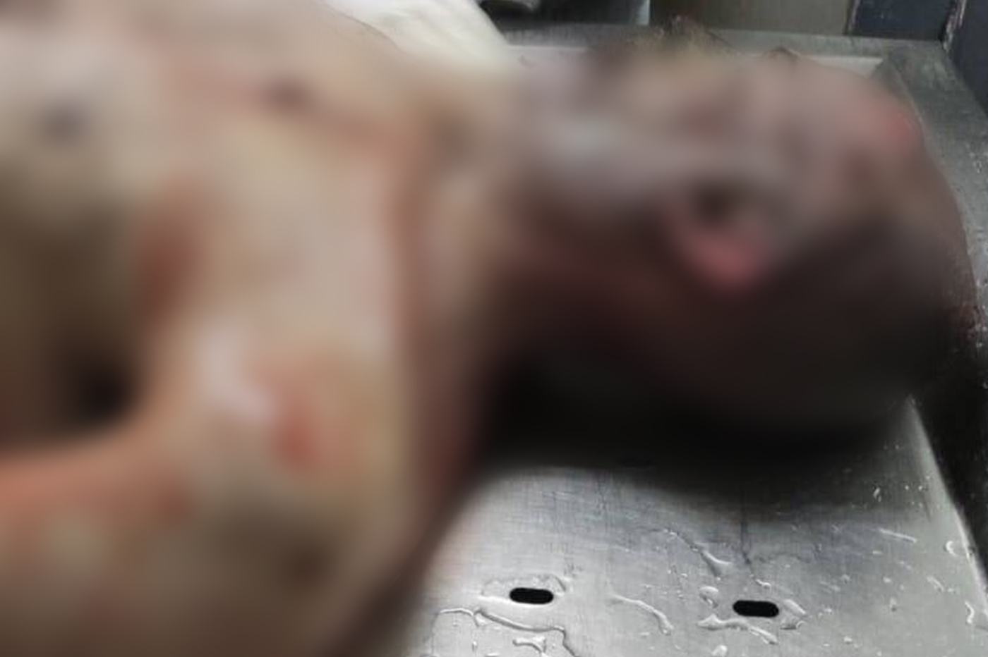 A blurred image of Ayman Muhammad Ali Hadhoud's body showing severe bruising on his face