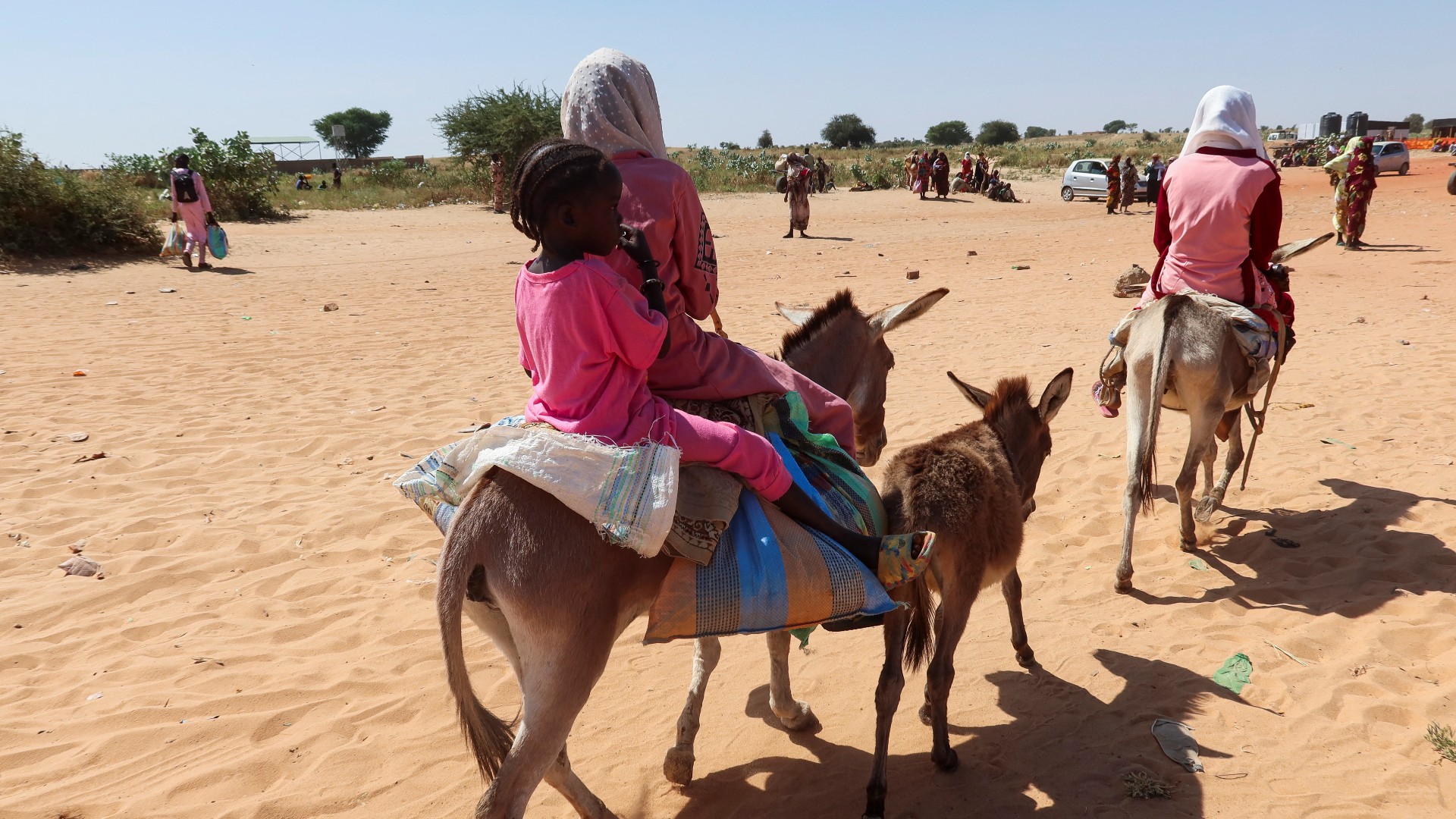 Children cross the border on their donkeys from Sudan to Chad, on 7 November (Reuters)