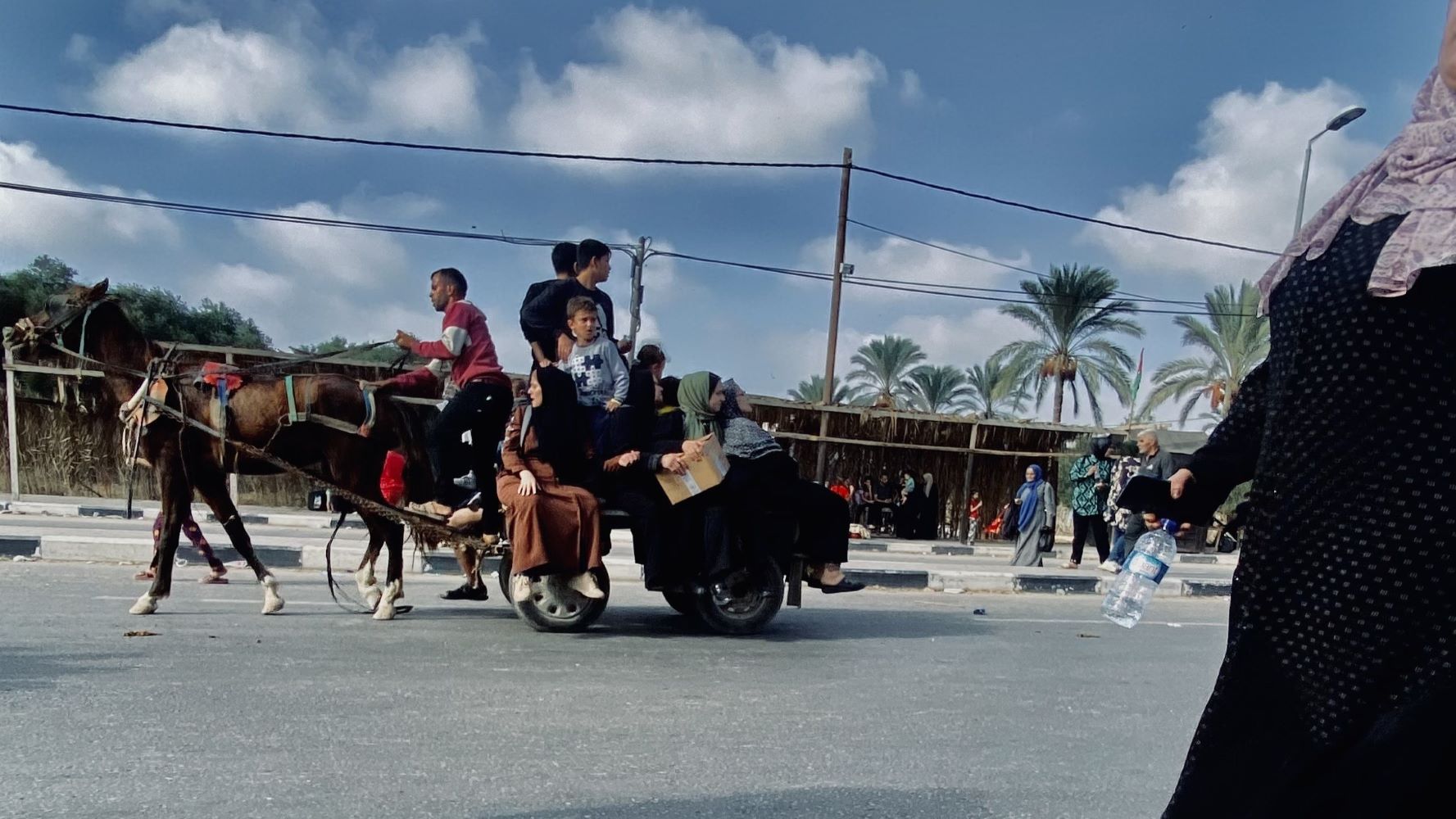 Aya Zaqout while fleeing northern Gaza