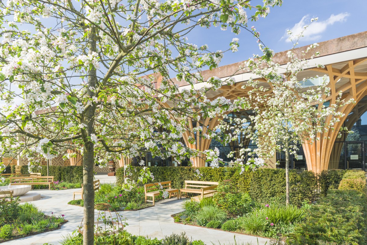 With fruit a key element of the paradise gardens, eight crab-apple tree were planted, aligned with the ‘tree-columns’ of the mosque atrium (Howard Rice)
