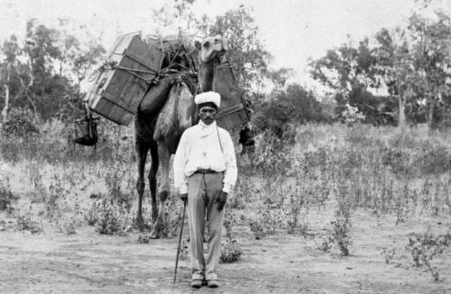 Portrait d’un chamelier afghan photographié dans le Queensland, en Australie, en 1890 (Wikimedia Commons)