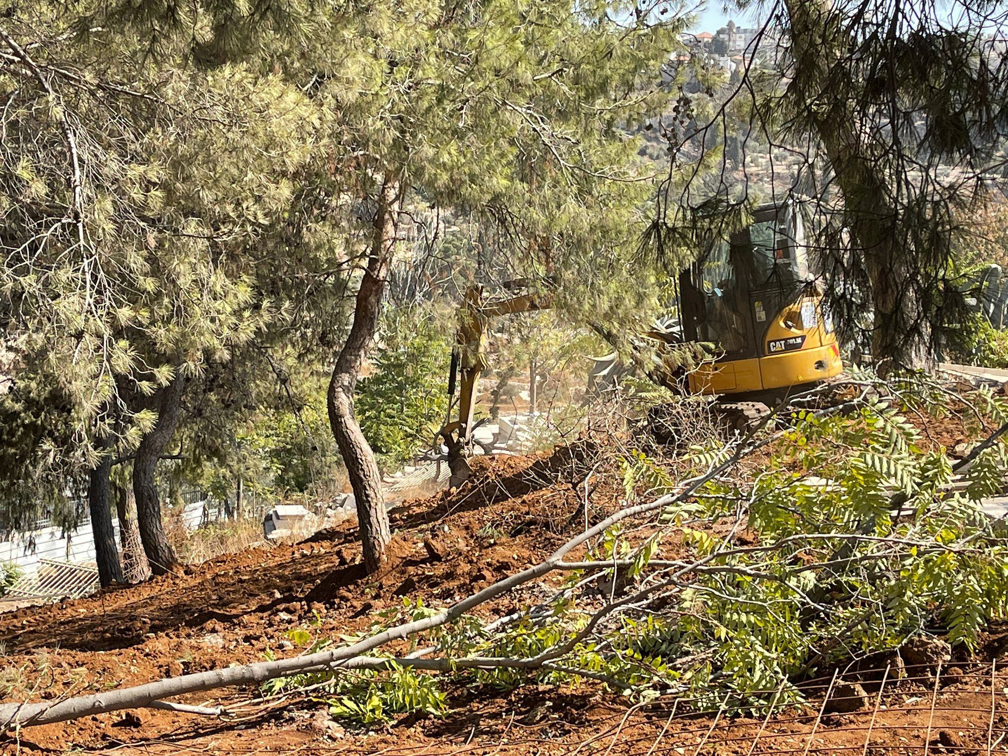 Des bulldozers israéliens déracinent des arbres centenaires au cimetière des martyrs (MEE/Aseel Jundi)
