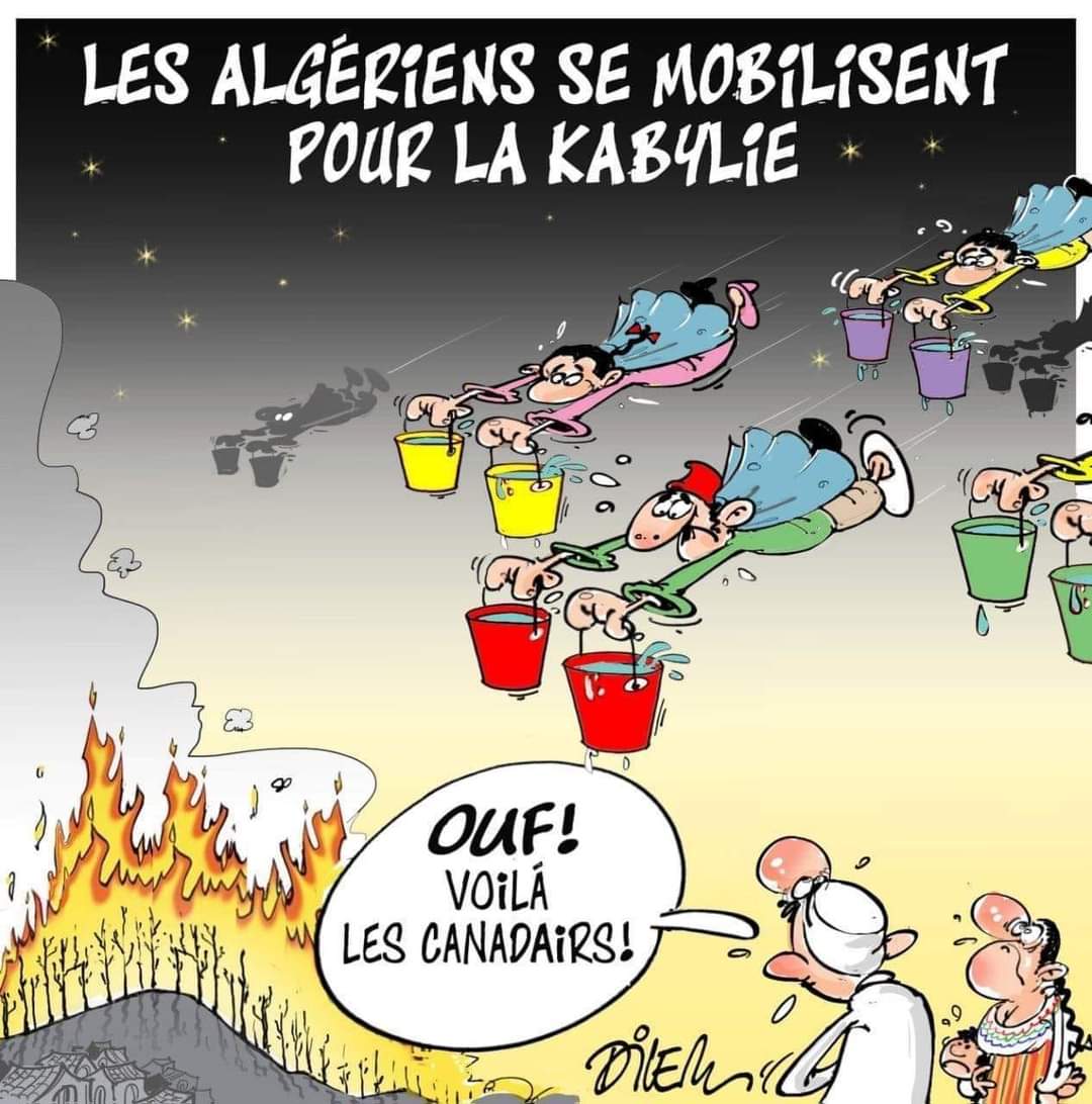 Caricature de Dilem dans le quotidien Liberté du 11 août (capture d’écran)