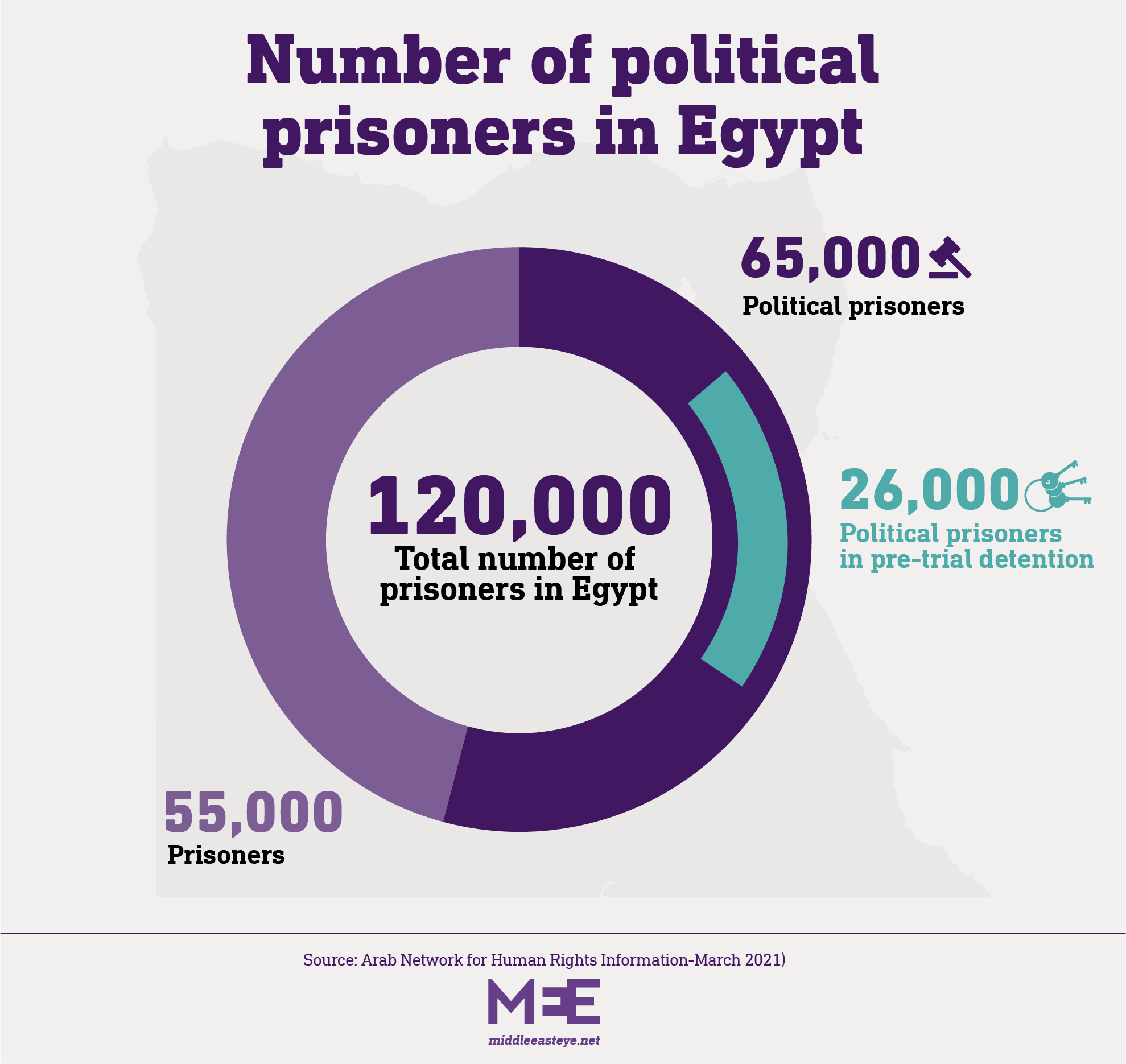 political prisoners in egypt