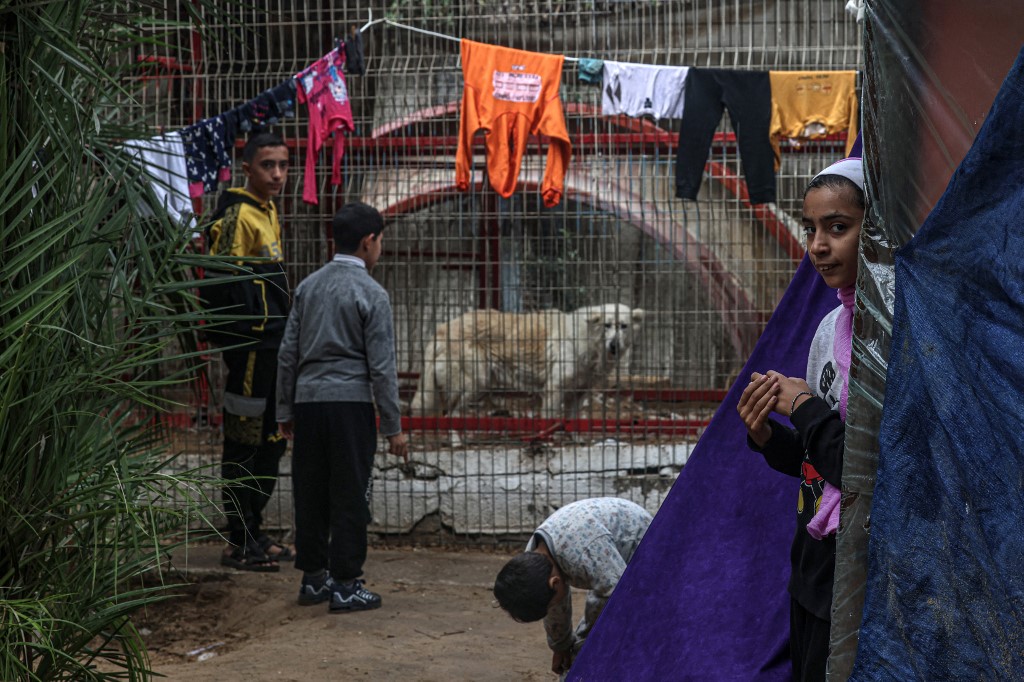 A displaced Palestinian family takes shelter near an animal cage at the zoo in Rafah in the southern Gaza Strip, on January 2, 2024, where displaced Palestinians sought refuge amid the ongoing conflict between Israel and the militant group Hamas. AFP