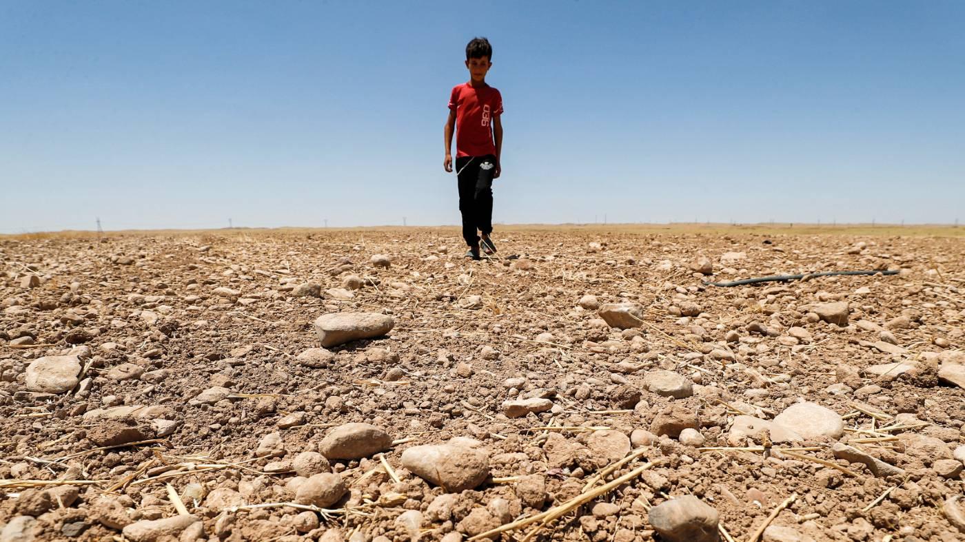 Un garçon dans un champ asséché dans la région de Saadiya au nord de Diyala, dans l’est de l’Irak, en juin 2021 (AFP)