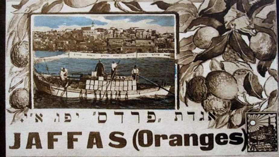 Jaffa, the orange's clockwork 2009