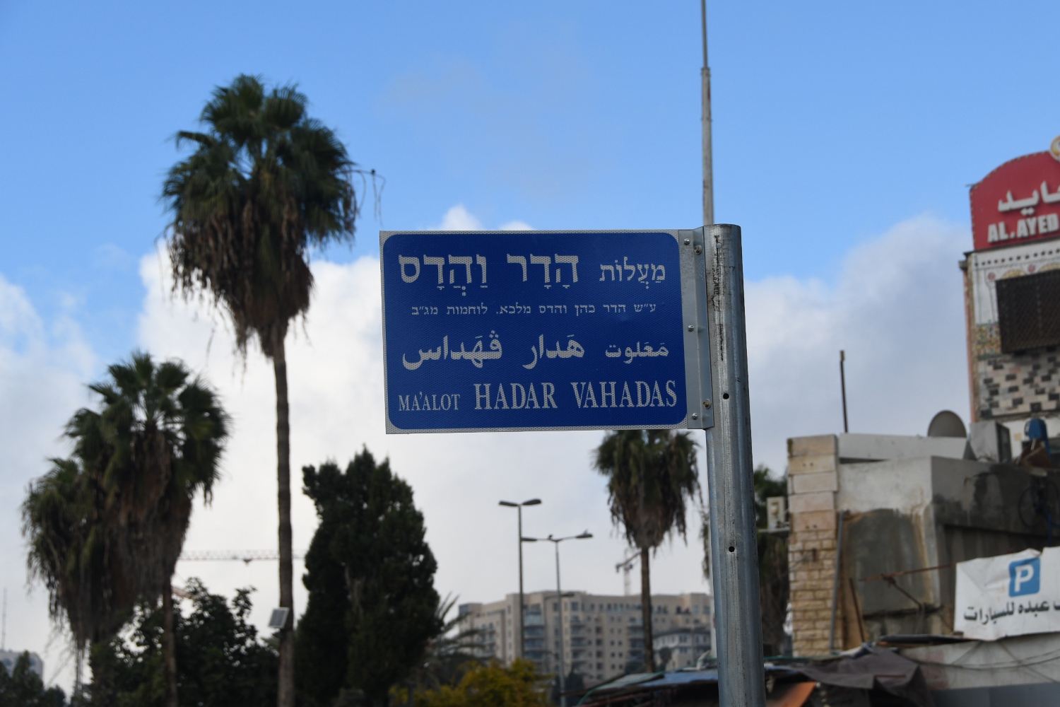 The signed installed in October outside Damascus Gate (MEE/Jessica Buxbaum)