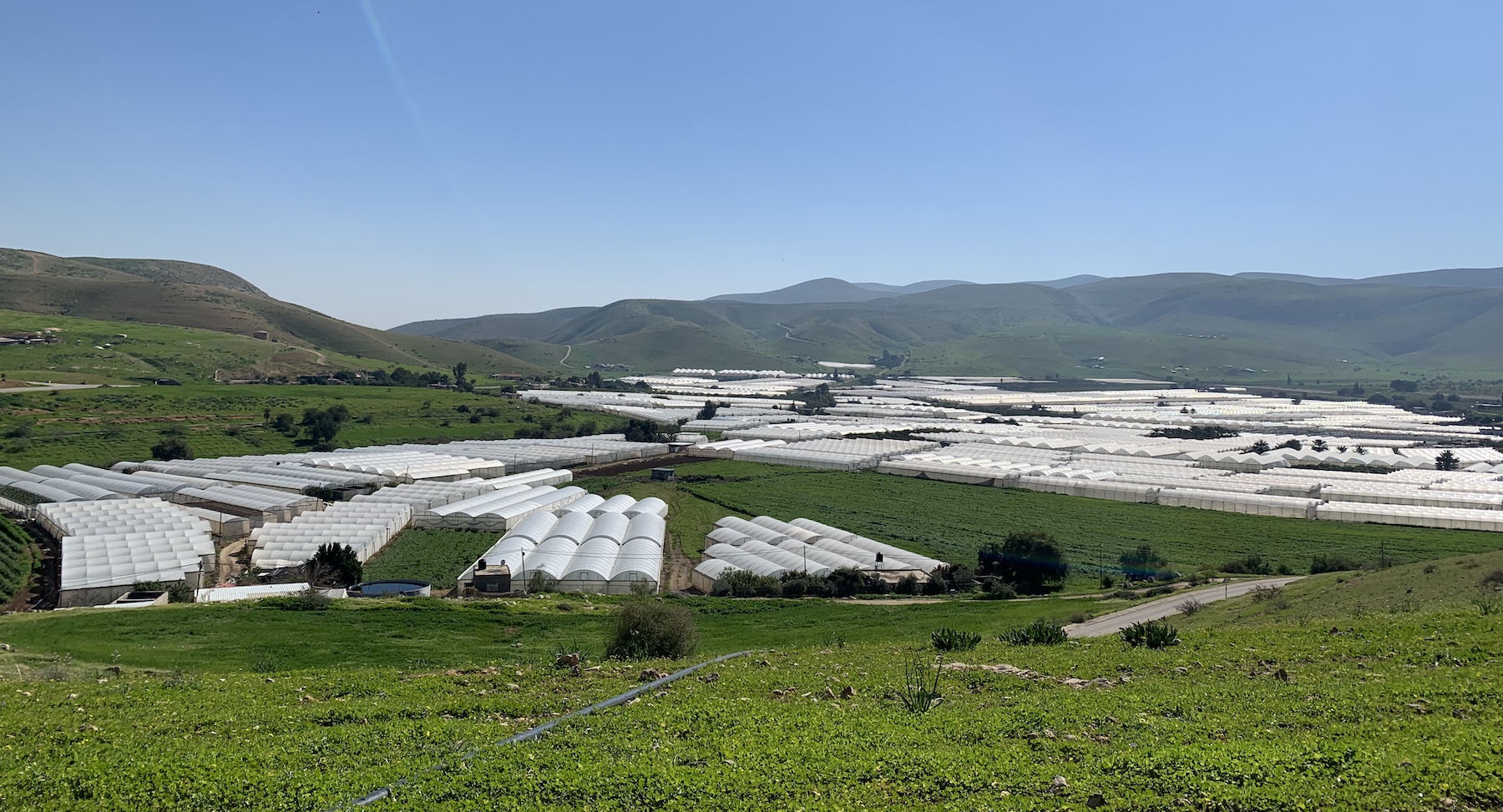 Greenhouse farming in Palestinian village
