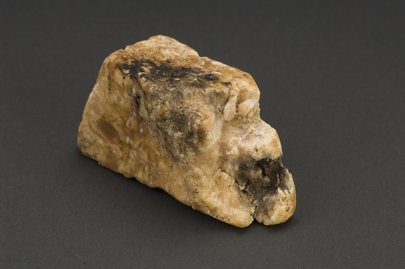 A piece of ambergris (National Museum of American History, Smithsonian Institution)