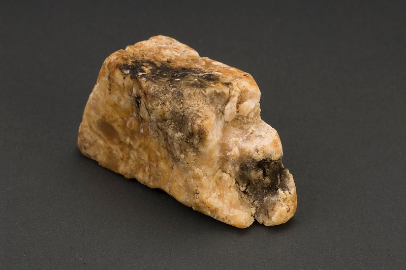 Un morceau d’ambre gris (musée national d’histoire américaine, Smithsonian Institution)