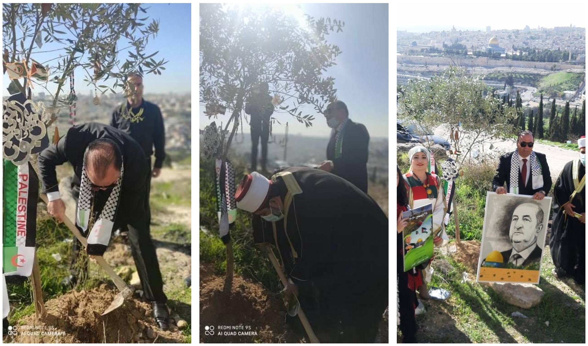 Une association palestinienne a planté un olivier au nom du président algérien sur le mont al-Zaytoun en face de Jérusalem (capture d'écran)
