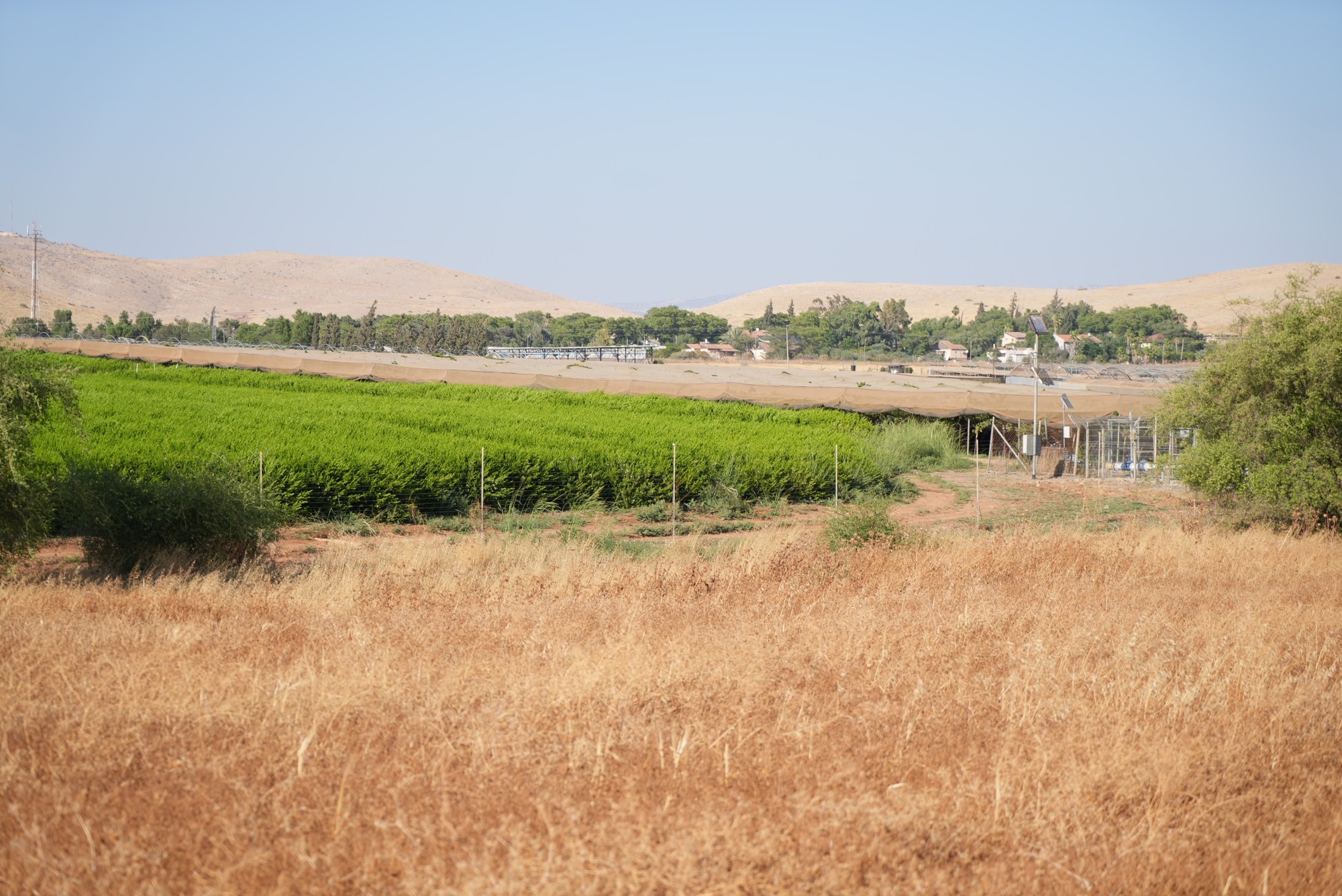 Greenhouses and lush farmland lie behind the Bekaot settlement, only two km away from the dry landscape of Khirbet Humsah (MEE/Akram al-Waara)
