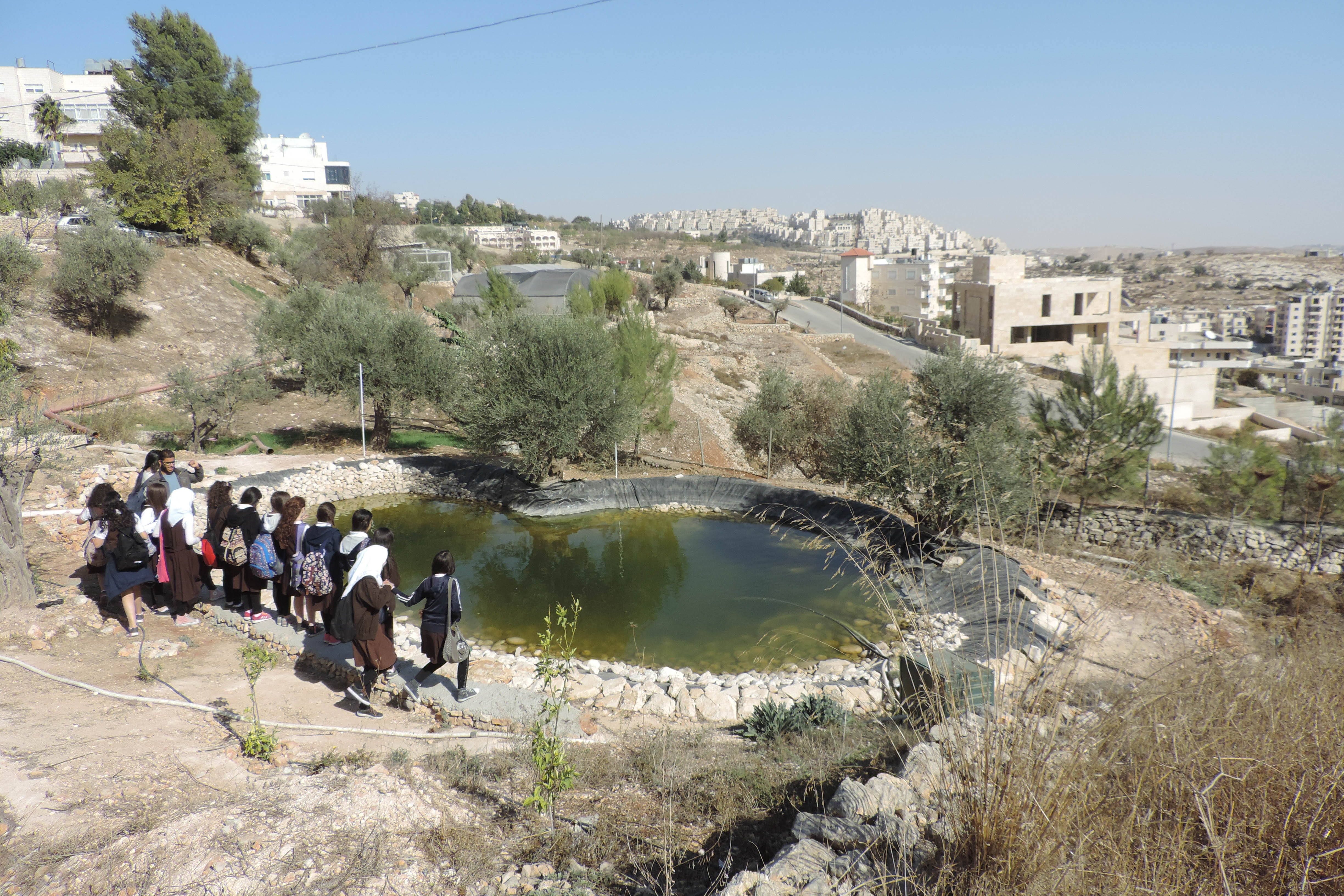 Schoolgirls visiting the museum stand by the pond in the garden overlooking the Israeli settlement of Har Homa (MEE/Miriam Deprez)