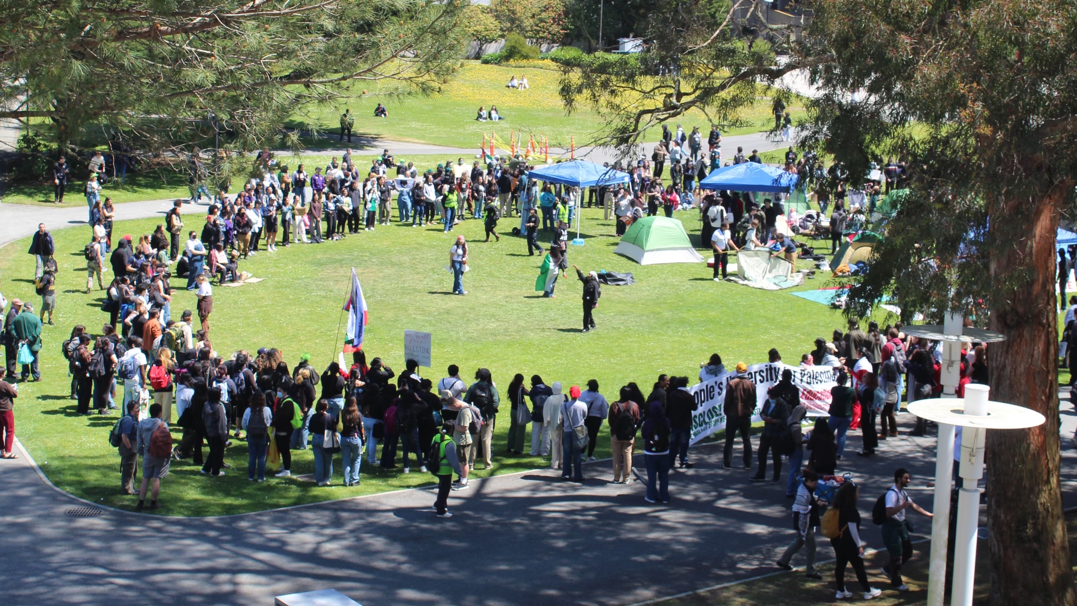 Students at San Francisco State University took part in the national student movement for Palestine in the Spring (supplied/MEE)