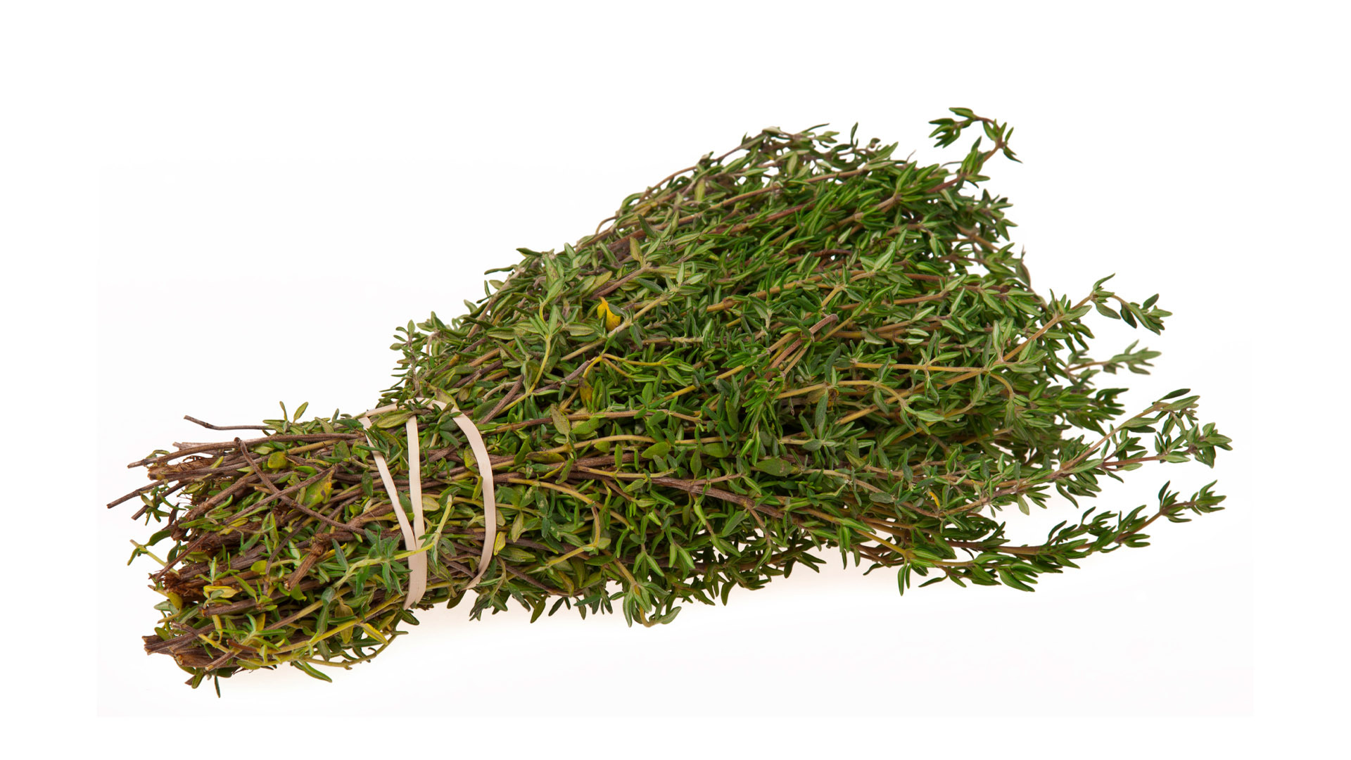 Za'tar is a popular herb across the Middle East, and especially in the Levant region (MEE)