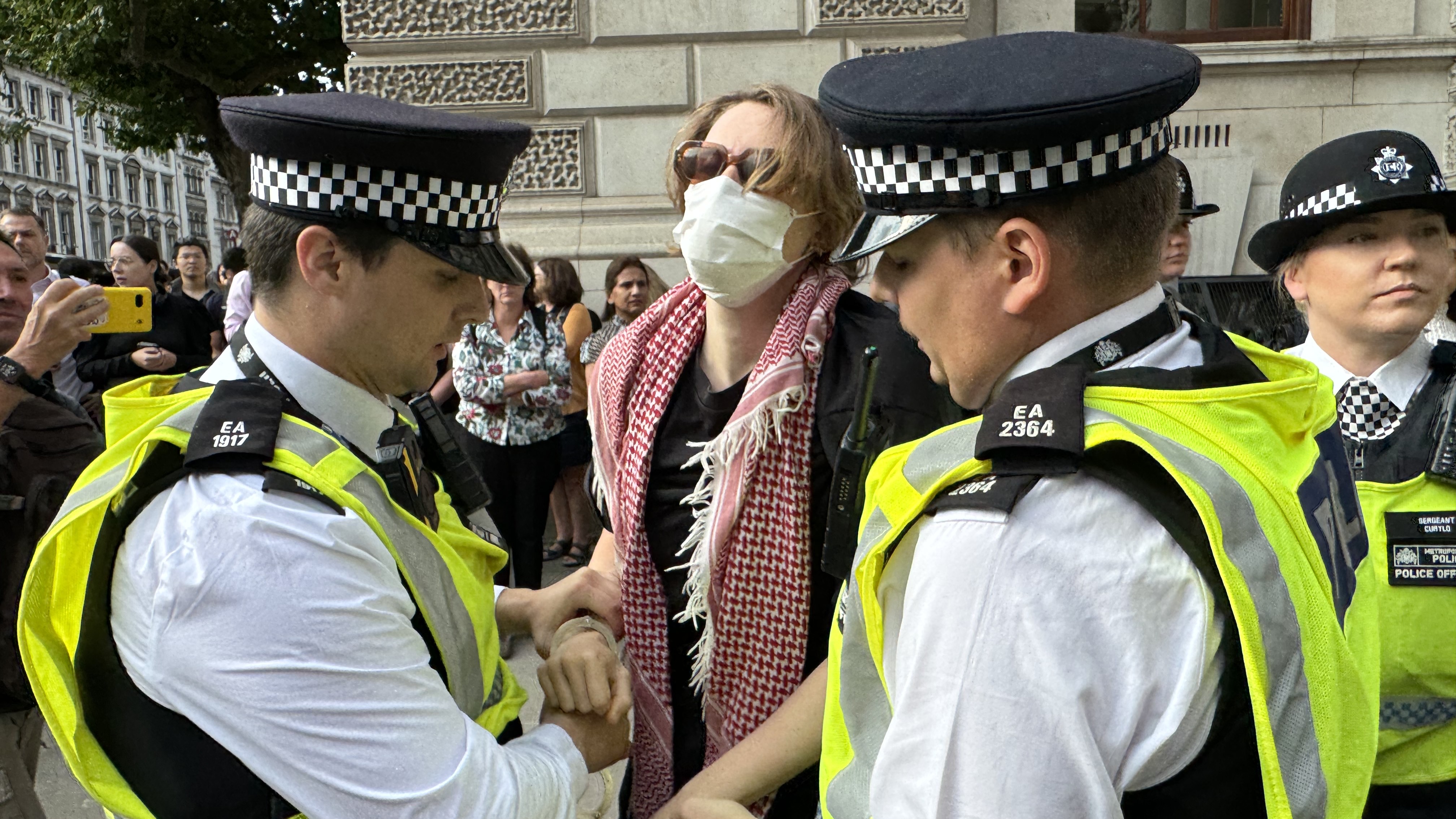 Protester arrested on 24 July 2024 at pro-Palestine demo in front of Foreign Office (Mohammed Saleh/MEE)