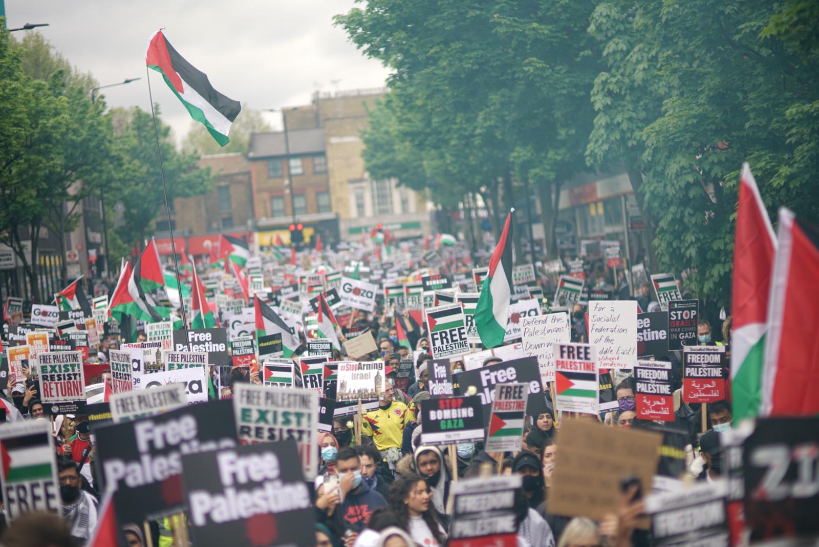 palestine protests
