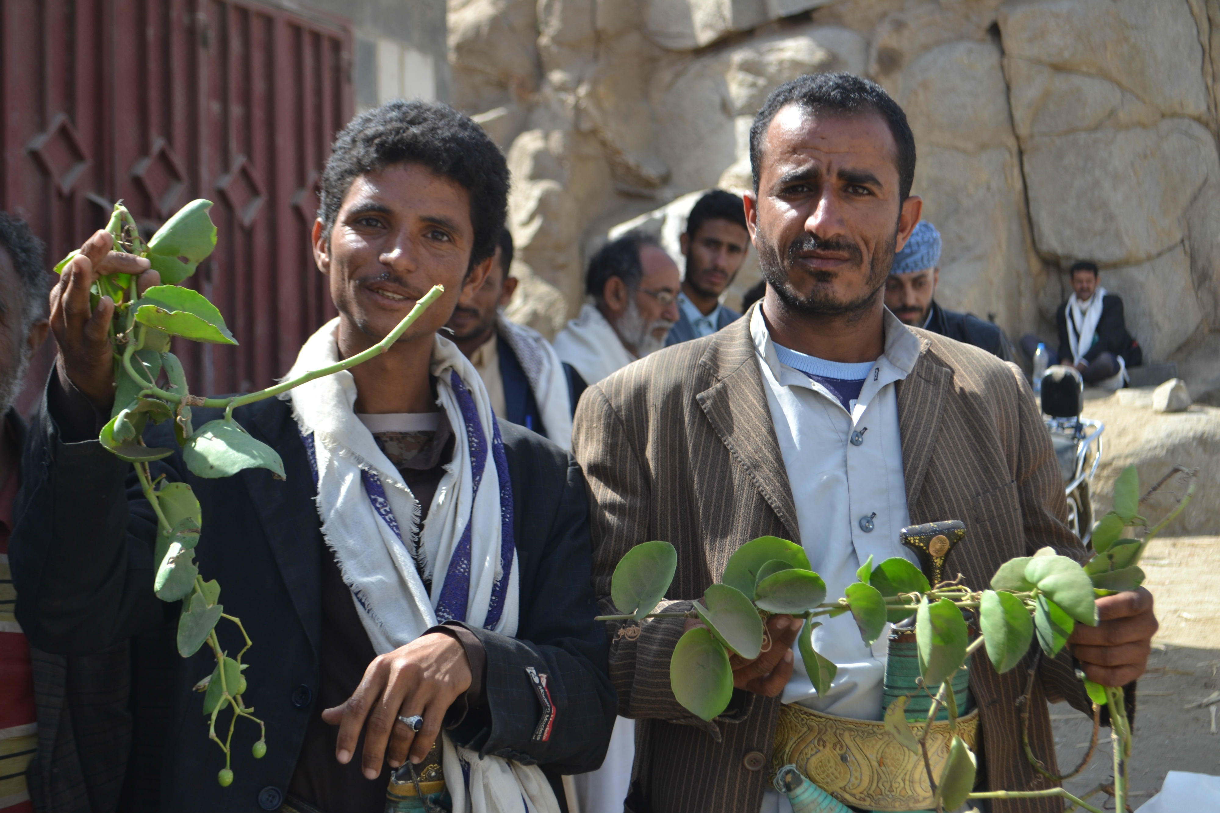 Khalid Abdullah, left, shows the leaves of the Halas plant which are boiled for eating (MEE)