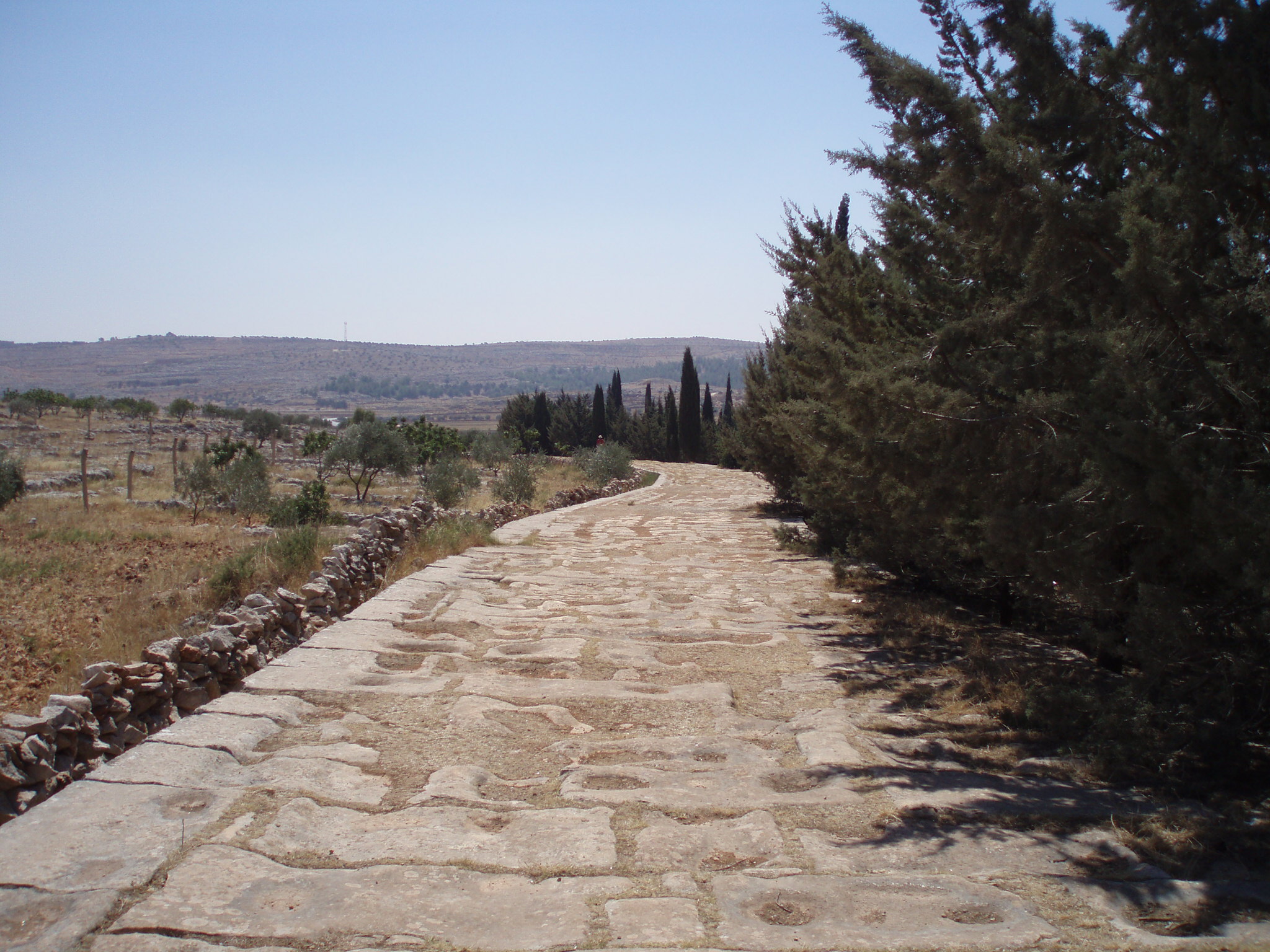 A stretch of paved Roman road still runs beside the main Aleppo-Turkey road, a testament to historic trade routes (Photo by: Diana Darke)