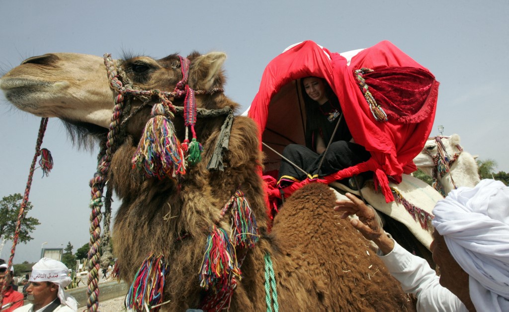 algerian wedding tradition 