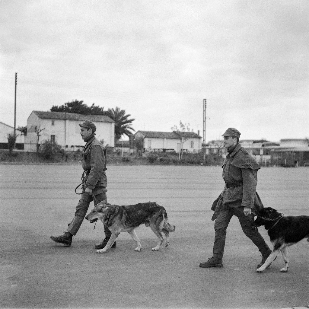 Des soldats français patrouillent avec des chiens de la police, à Alger, le 13 décembre 1960 (AFP/Jean-Claude Combrisson)