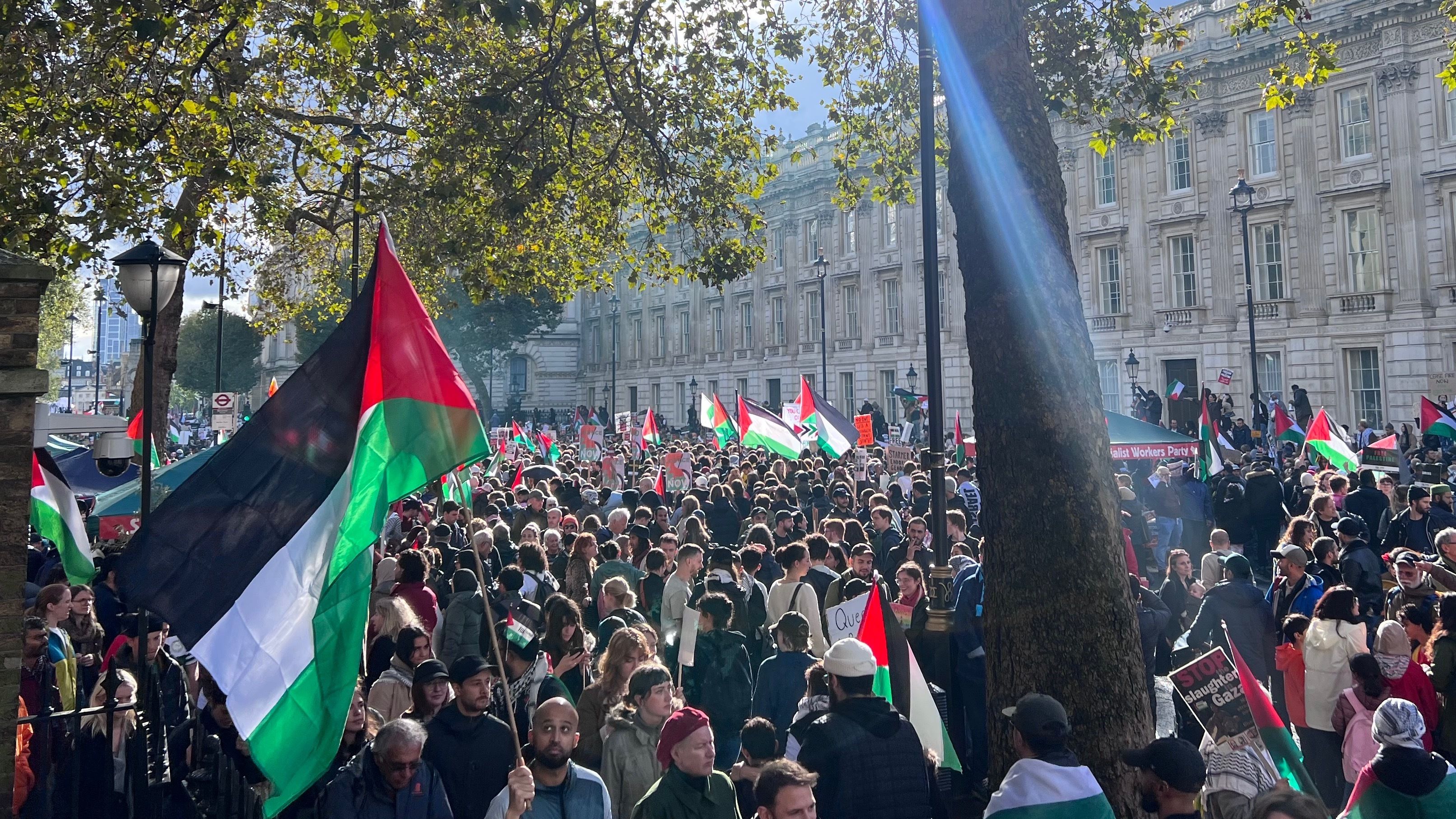 Crowds gathered in Downing Street to protest for Palestine (MEE/Areeb ULLAH)
