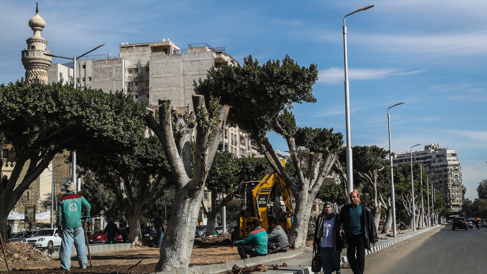 A picture shows partially cut-off trees in a street in Heliopolis. Construction crews are building new highways through the historic district uprooting its century-old trees in January, 2020 (AFP)