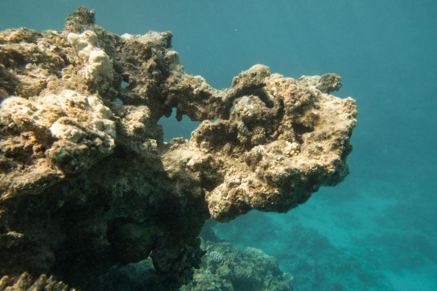 Ce récif corallien de Three Pools au large de Dahab en Égypte, photographié en juin 2021, est presque mort à cause du tourisme de masse dans la région (MEE/Elizabeth Fitt)