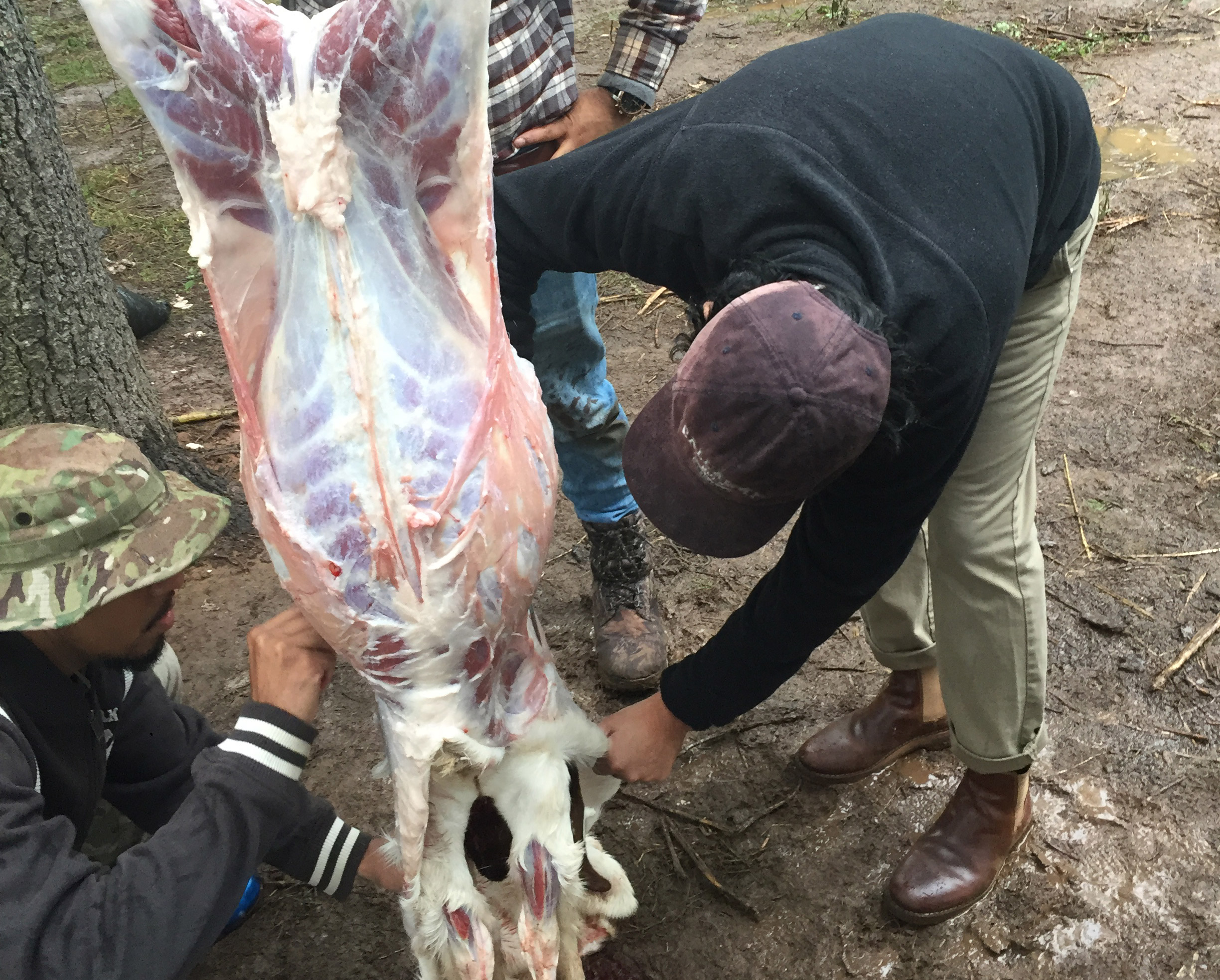 Two men skin a goat after slaughtering it.
