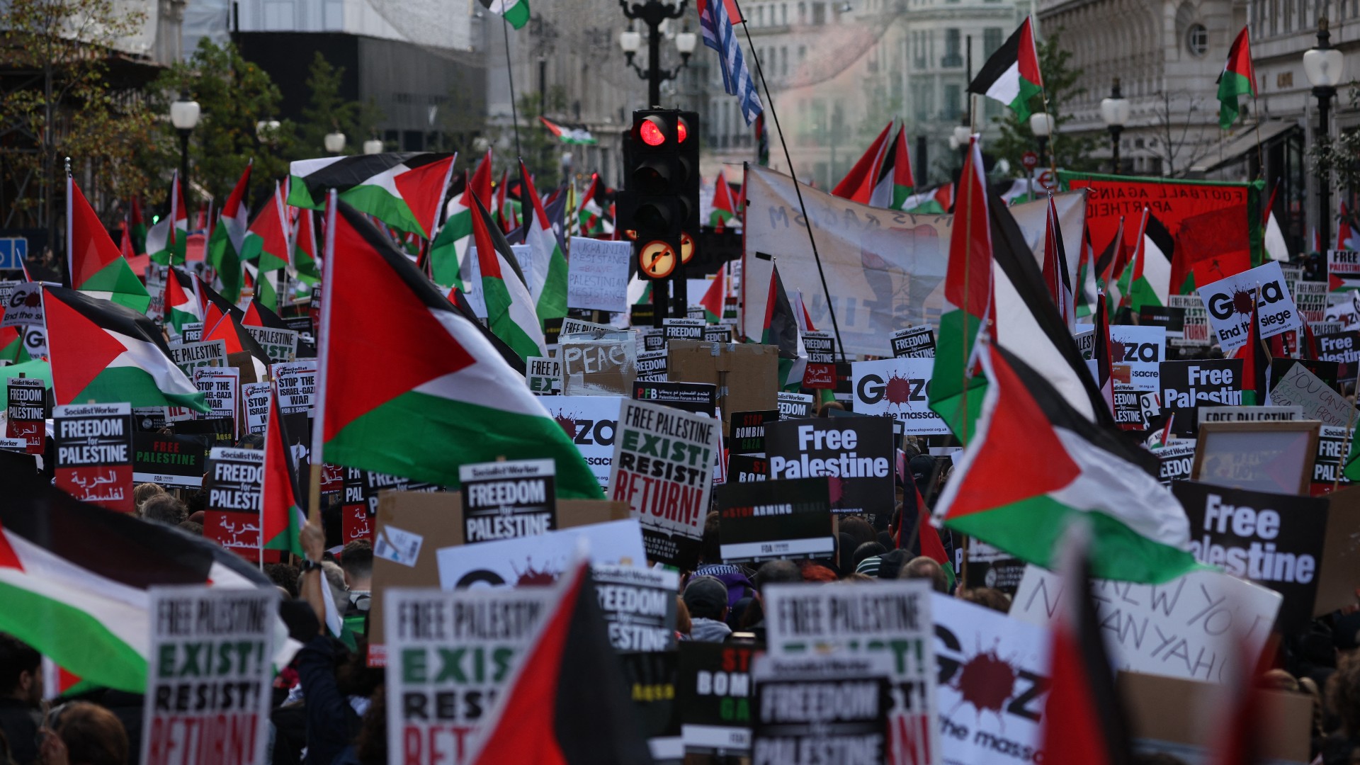 People holding placards and flags during a pro-Palestine demonstration in London on 14 October 2023 (AFP)