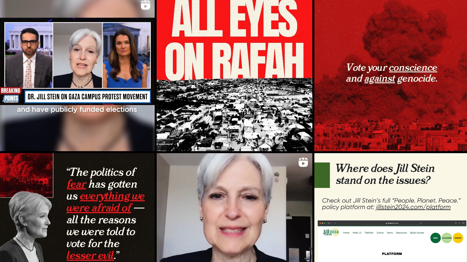 Jill Stein's Instagram page is filled with content about Palestinian rights and the US elections (MEE/Screengrab)