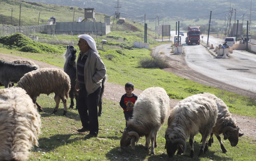 A Palestinian shepherd stops with his herd of sheep near the Israeli Hamra checkpoint in the Jordan Valley in the occupied West Bank on February 5, 2020. 