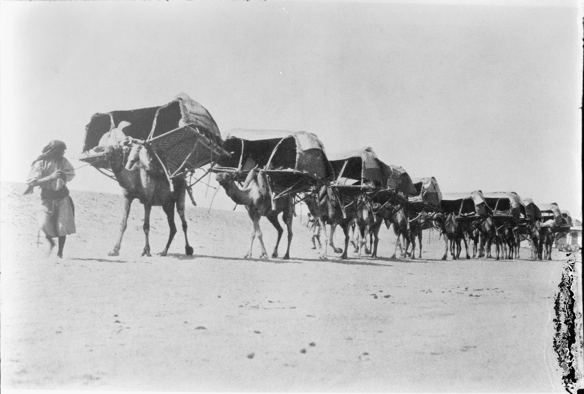 camel caravan hajj
