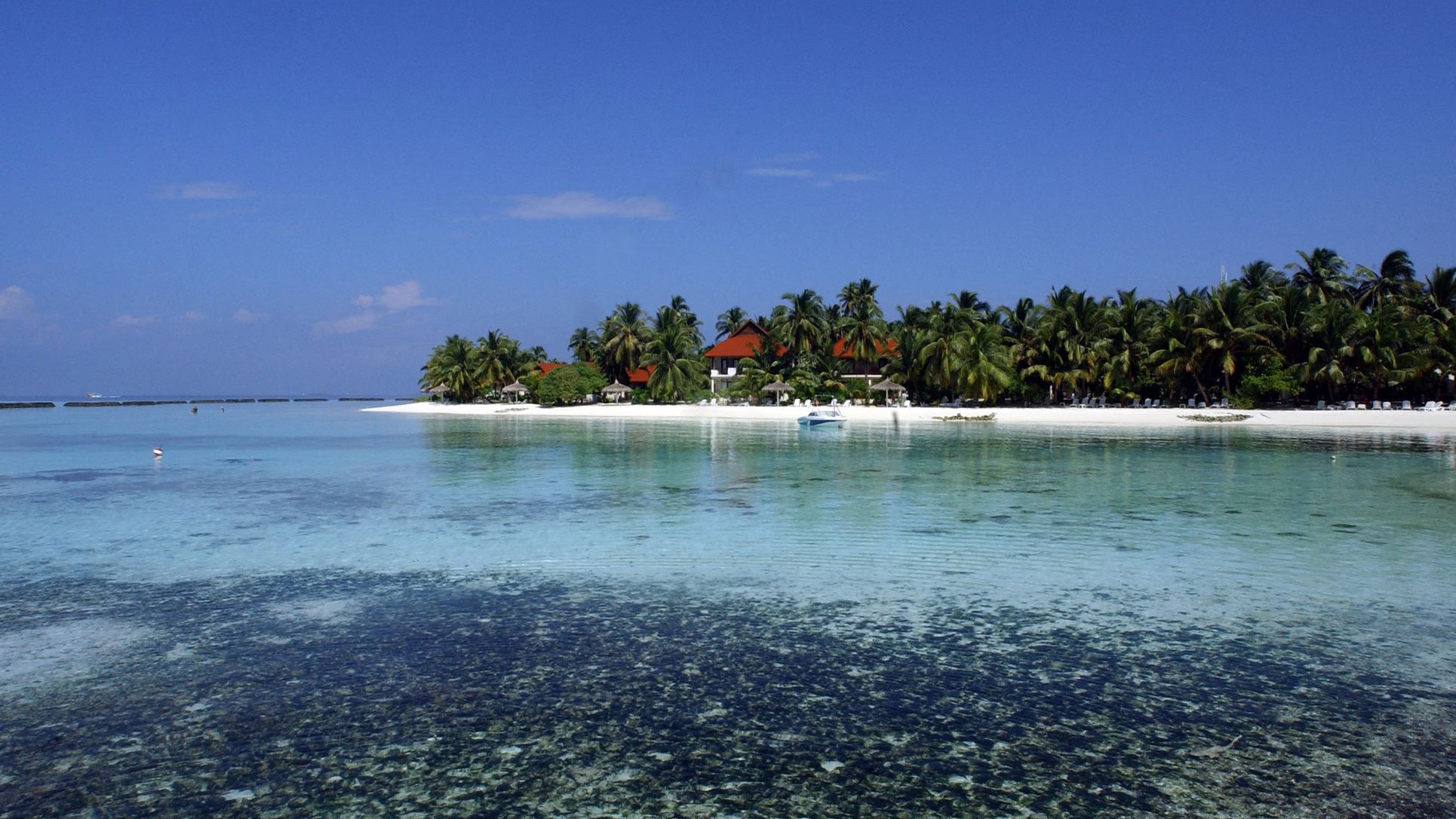 maldives-stock-sanka-vidanagama-afp