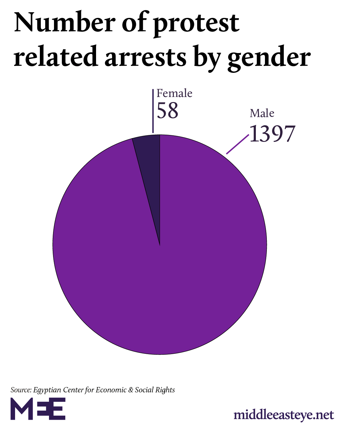 Gender of protest related arrests egypt 2019