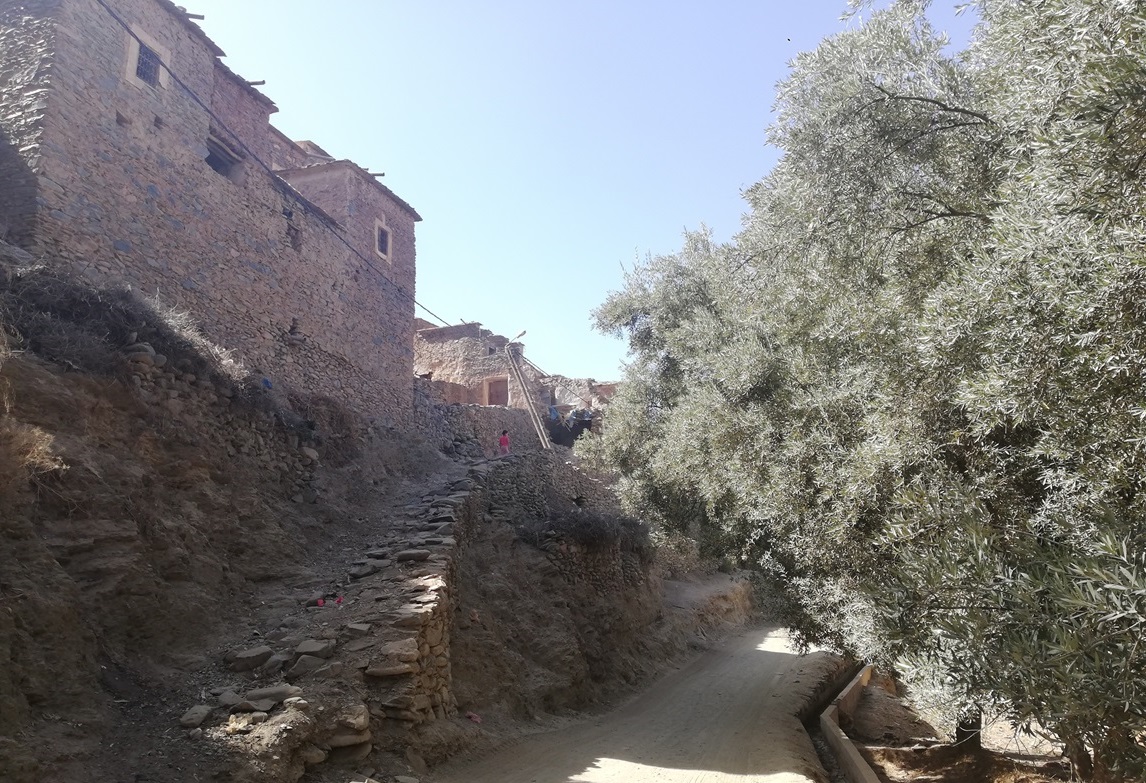 Stone houses in Ait Bourd that have resisted the earthquake (supplied)