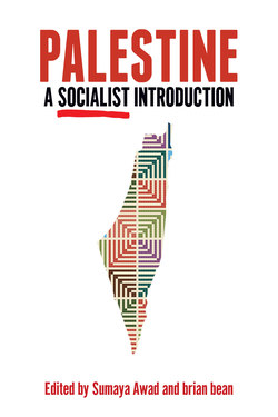Palestine book cover