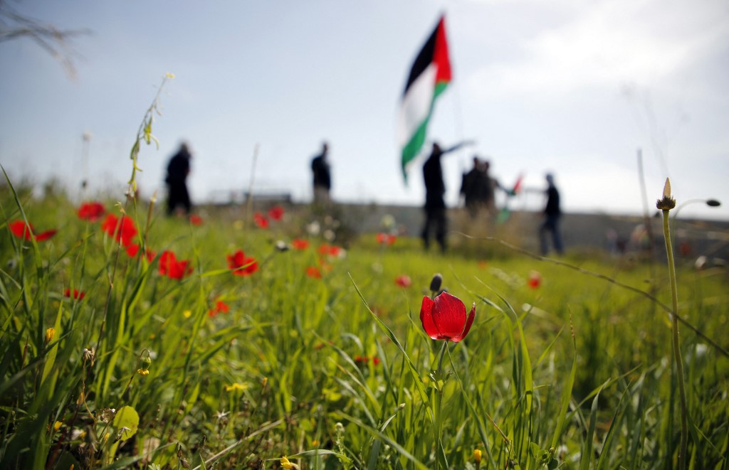 Le coquelicot palestinien est un symbole de résistance et de patrimoine (AFP)