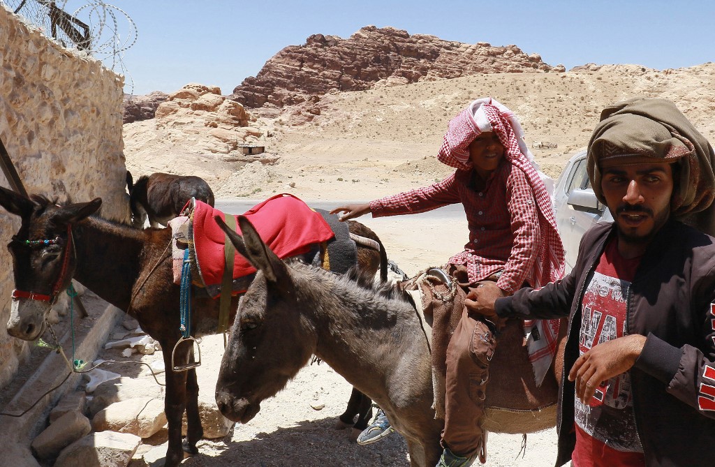 Jordanian horses and donkey owners take their animals to the PETA clinic, treating aniamls used by locals to transport visitors in the Jordanian ancient city of Petra, on May 27, 2021.
