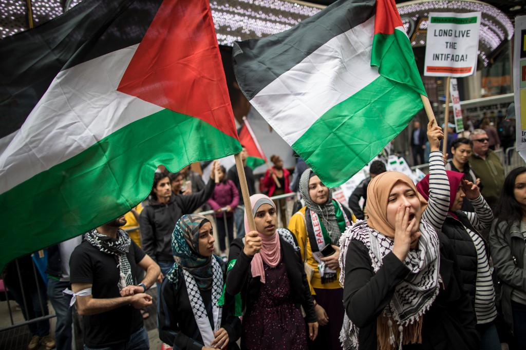 People rally in support of Palestinian rights in New York in 2018 (AFP)