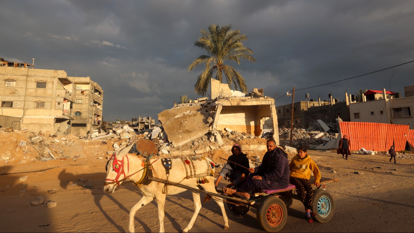 Rafah donkey cart
