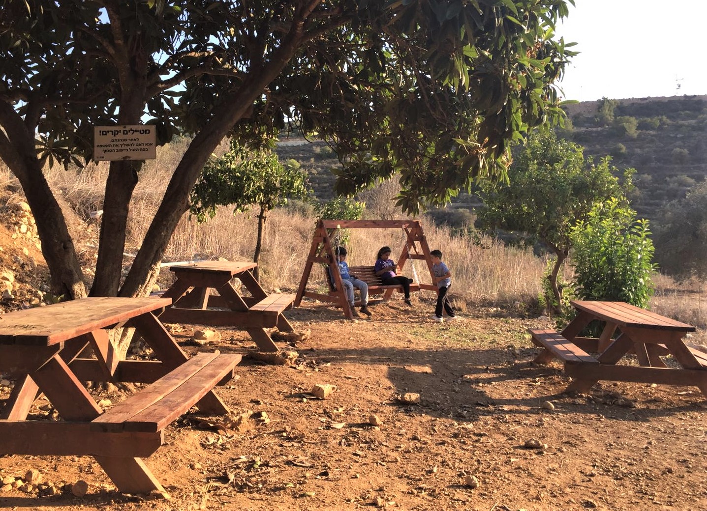 Shatha Hammad Ramallah Land swing tables