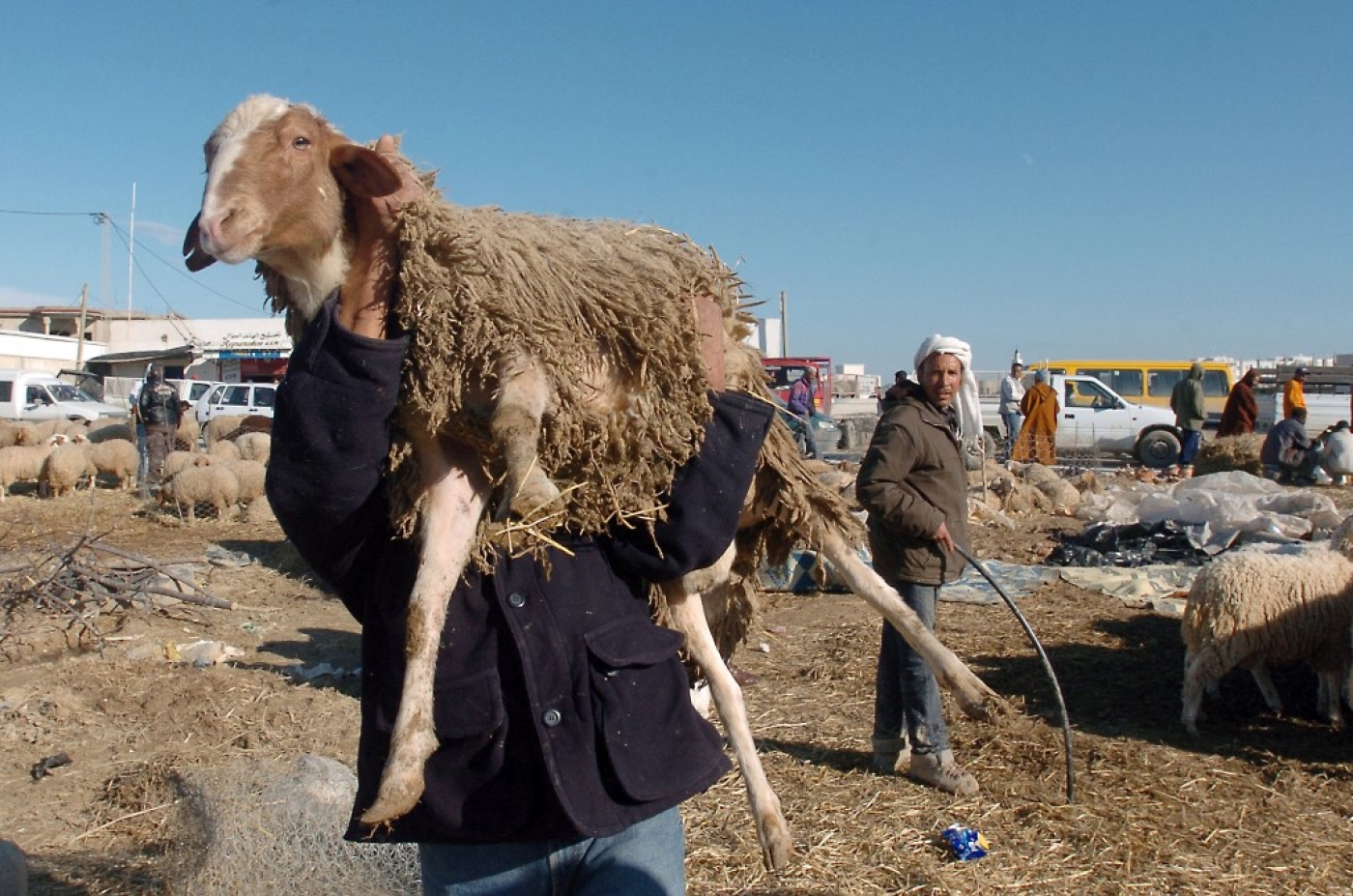 Pour certains Tunisiens, pour bien choisir un mouton, il faut pouvoir le toucher (AFP/Fethi Belaïd)