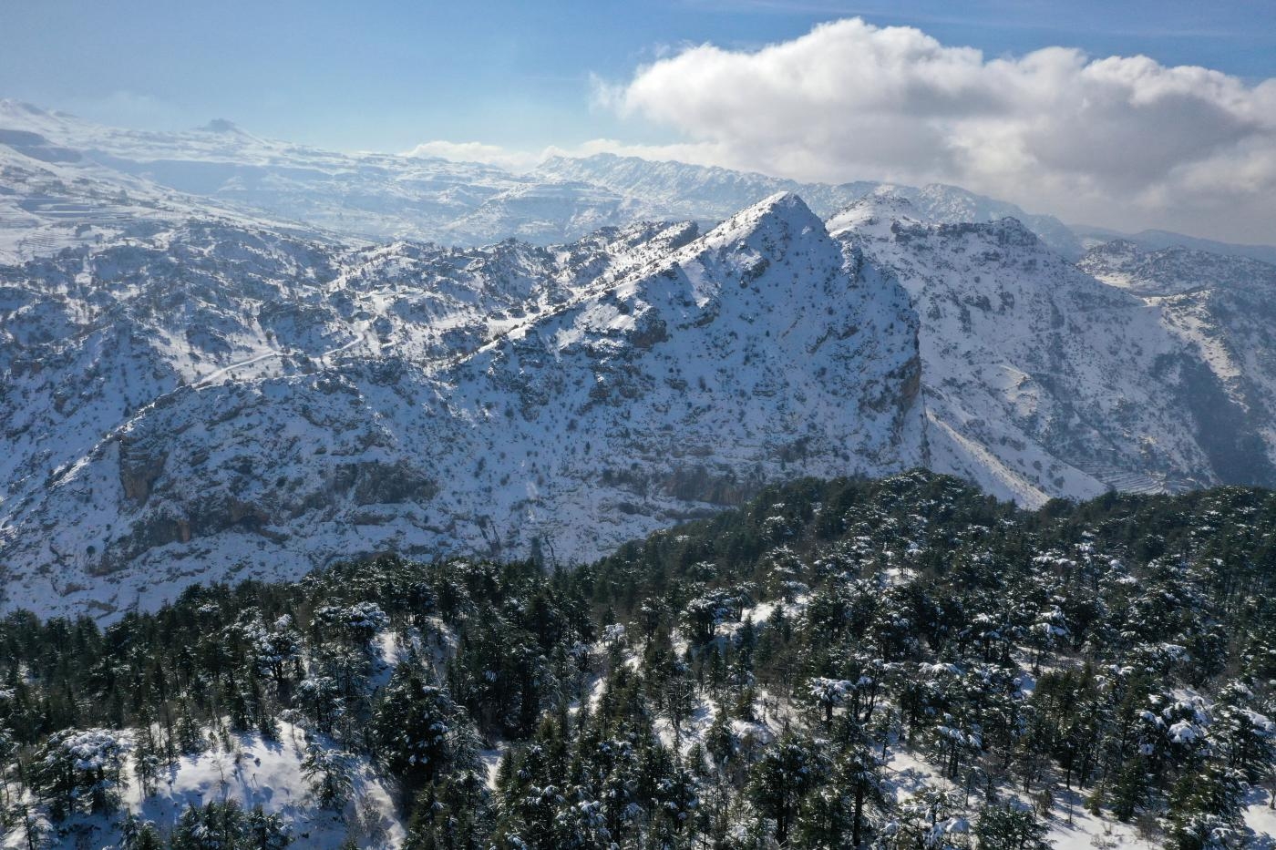 Vue aérienne de la réserve naturelle de la forêt de cèdres de Tannourine dans les montagnes libanaises recouvertes de neige, le 22 janvier 2021 (AFP/Joseph Eid)